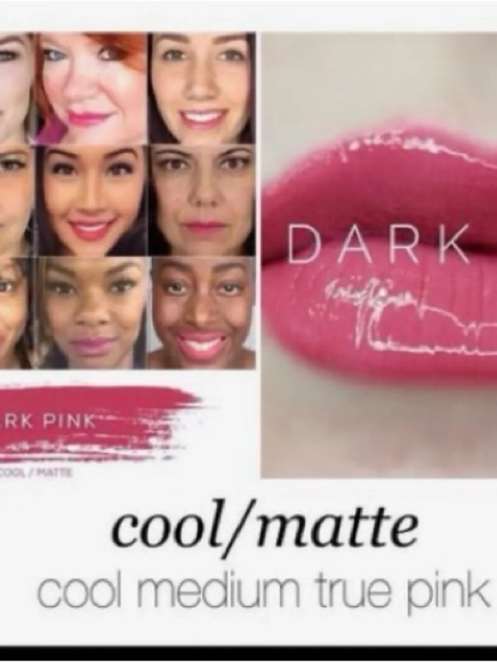 LipSense by SeneGence long lasting lipstick new never opened Dark Pink
